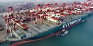 61dc8d491025b20018bb0d43