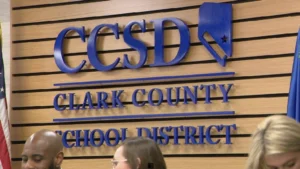 CCSD1
