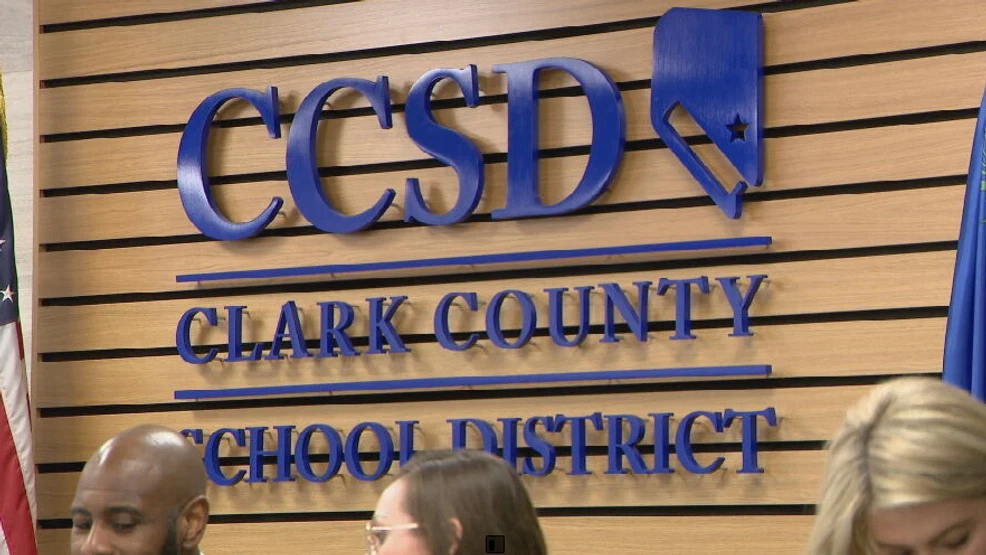 CCSD1